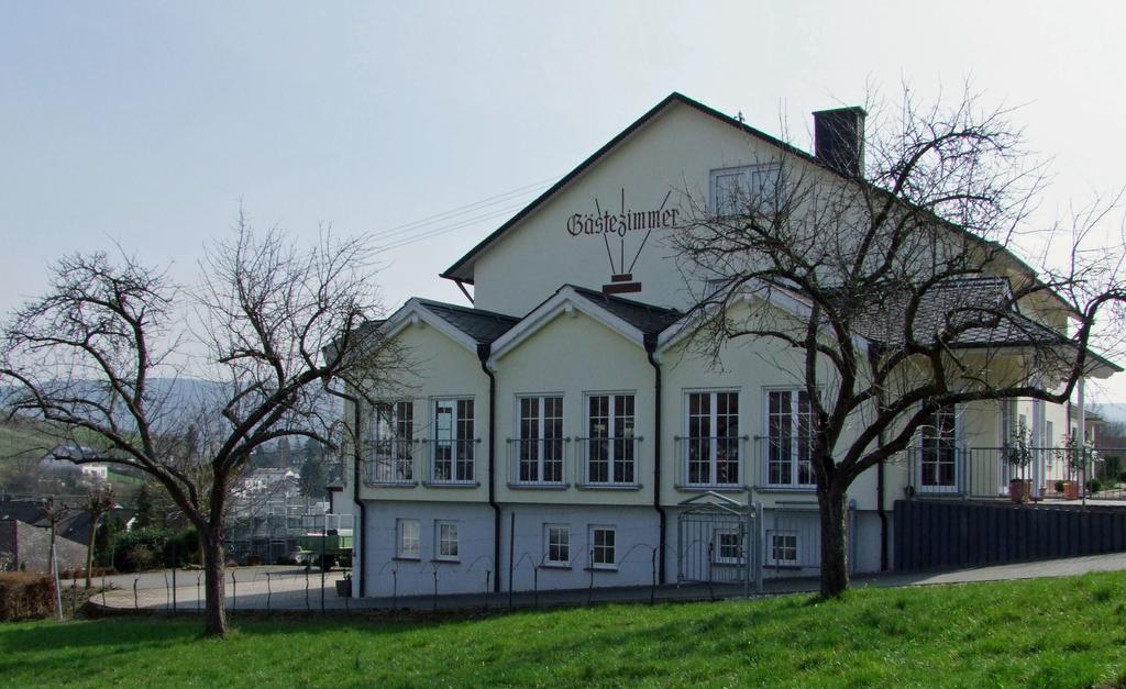 Wein & Gaestehaus Rosenlay Lieser Buitenkant foto